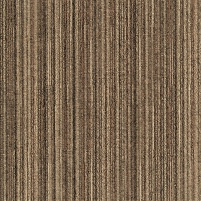 SG-351