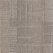 50x50