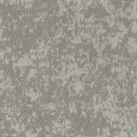 50x50