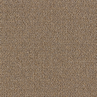 50x50