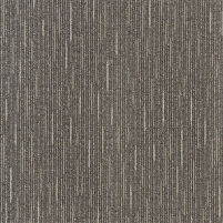 50x50