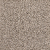 50x50
