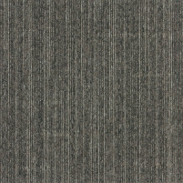 50x50