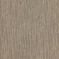 50x50