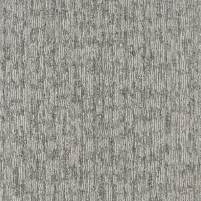 50x50